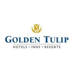 Golden_Tulip